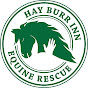 Hay Burr Inn Equine Rescue & Sanctuary YouTube Profile Photo