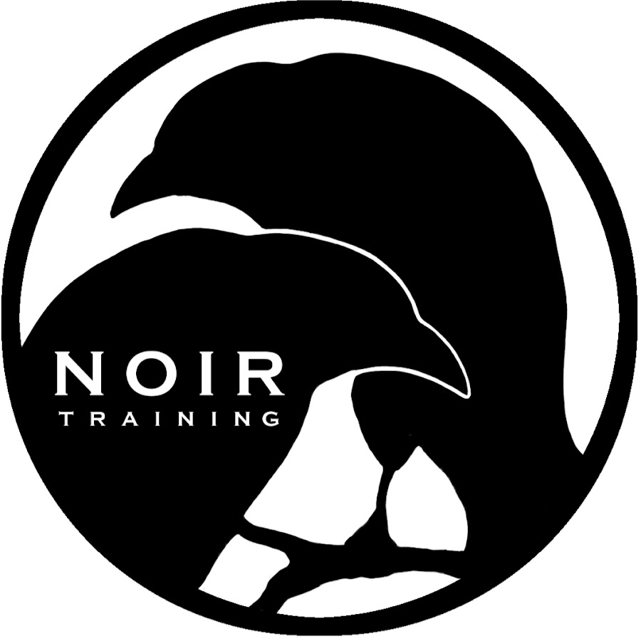 NOIR Training Awatar kanału YouTube