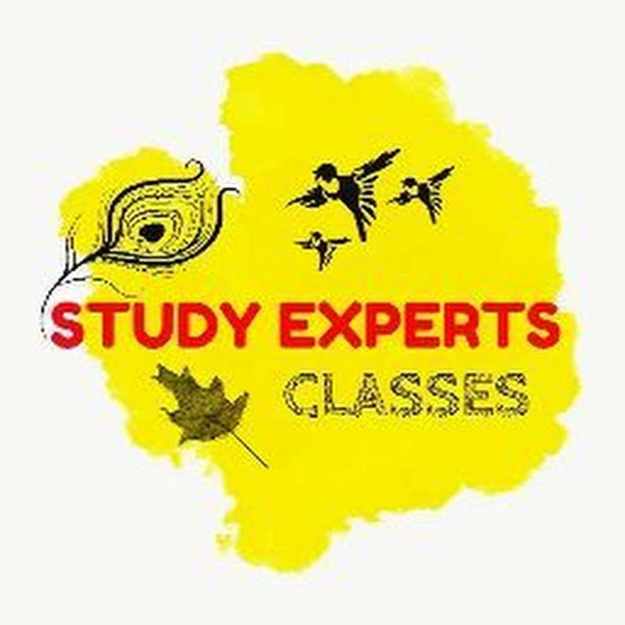 study experts classes ইউটিউব চ্যানেল অ্যাভাটার