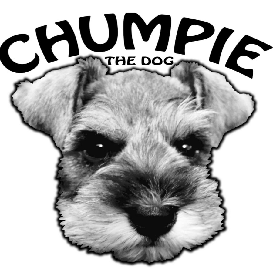 ChumpieTheDog رمز قناة اليوتيوب
