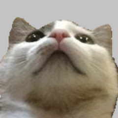 Pati