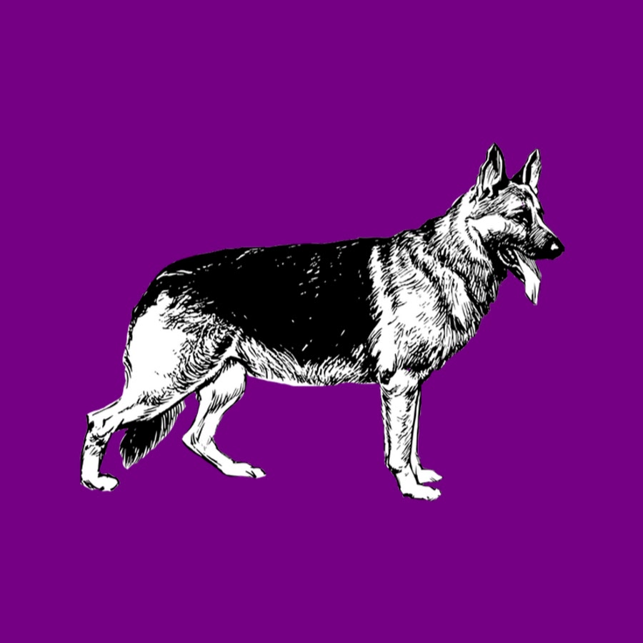 German Shepherd Rescue - Burbank YouTube channel avatar