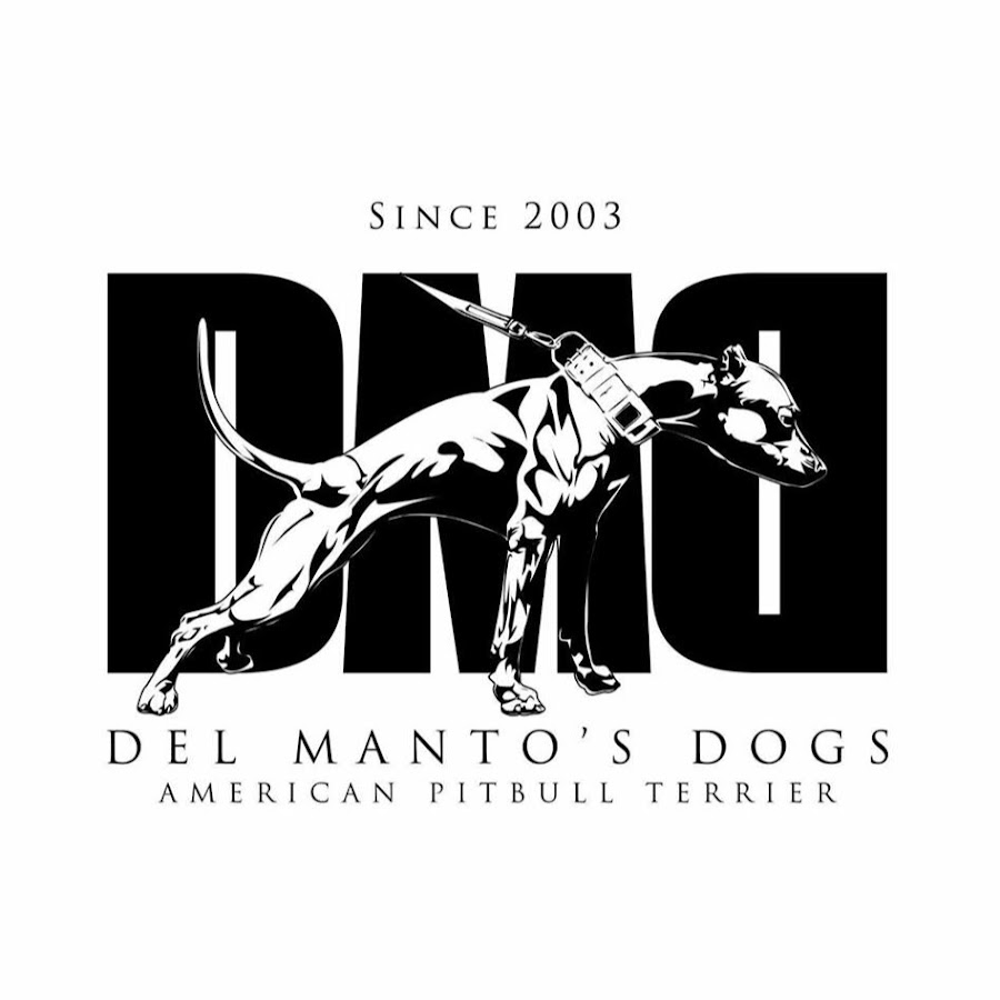 DEL MANTO DOGS यूट्यूब चैनल अवतार