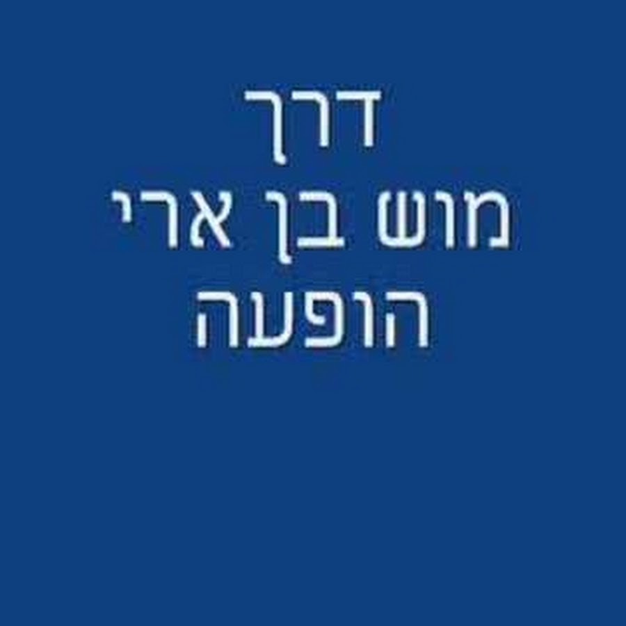 avshalom20 YouTube channel avatar