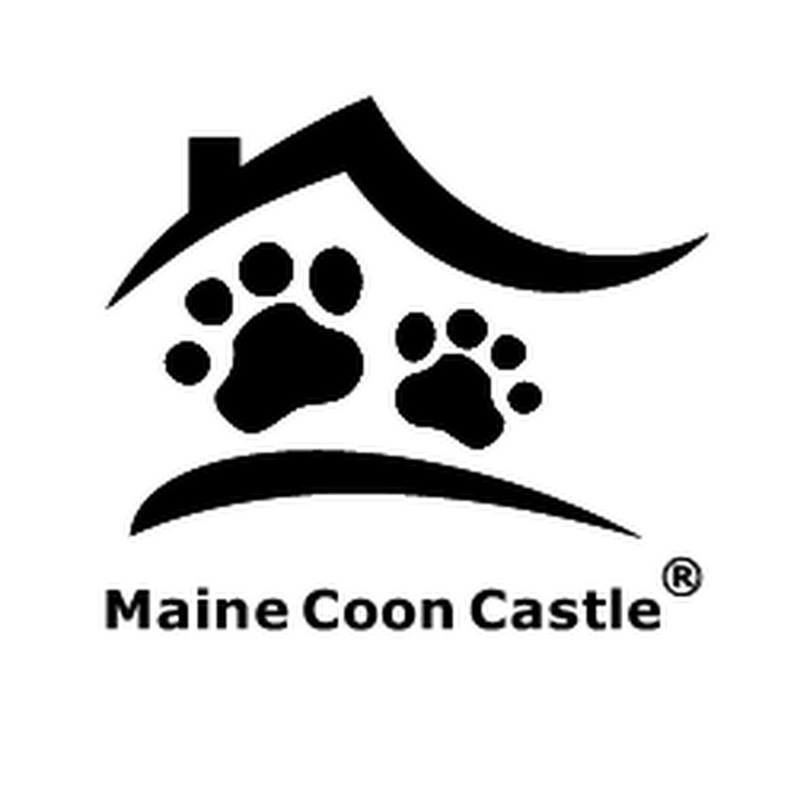 Maine Coon Castle YouTube channel avatar