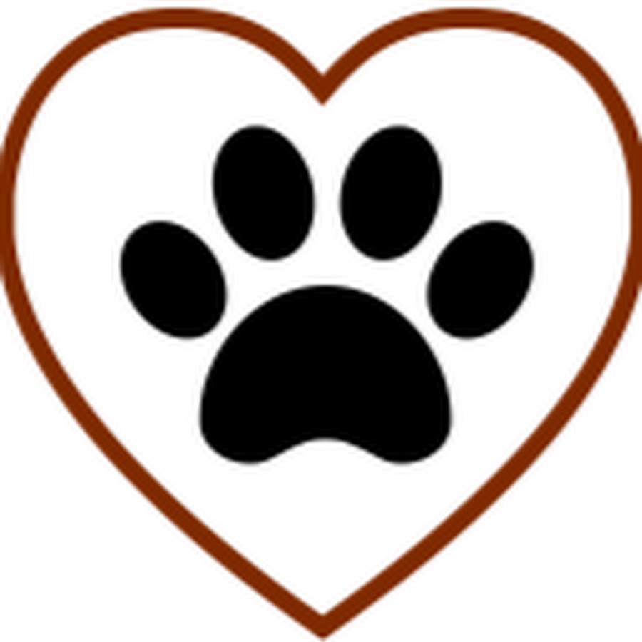 Second Chance Pet Rescue YouTube channel avatar