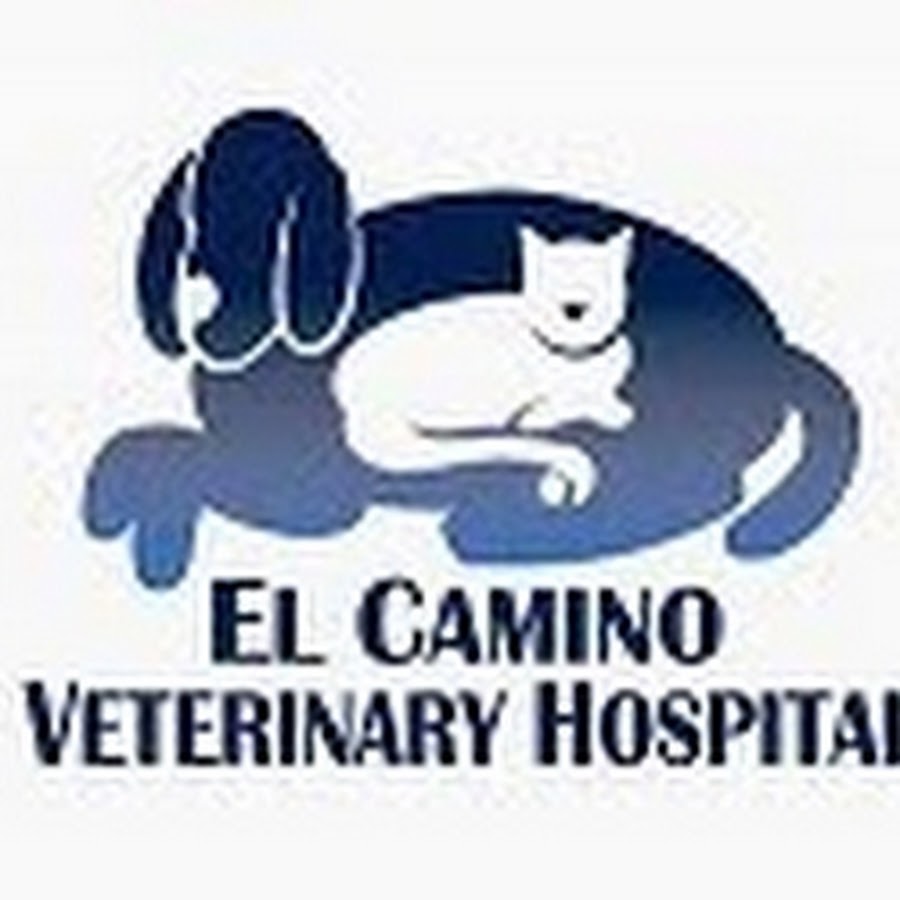 Elcaminovethospital YouTube channel avatar