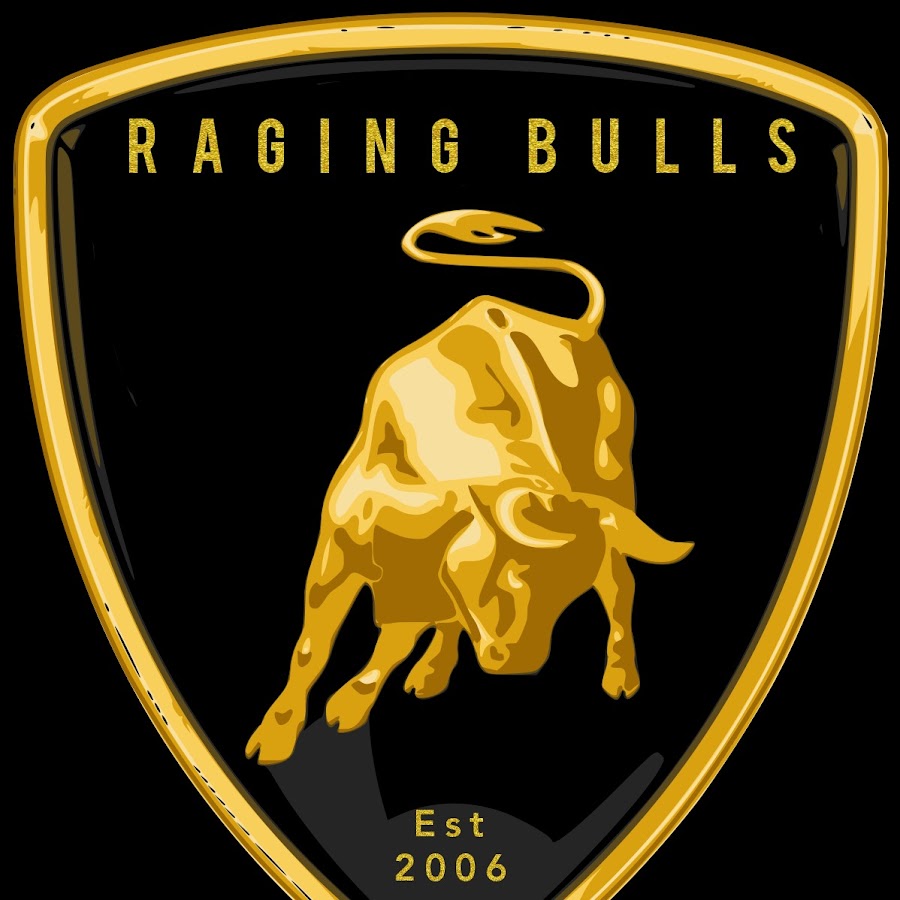 Raging Bulls AB's YouTube kanalı avatarı