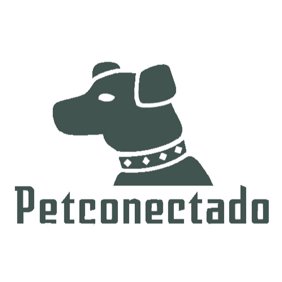 Petconectado YouTube channel avatar