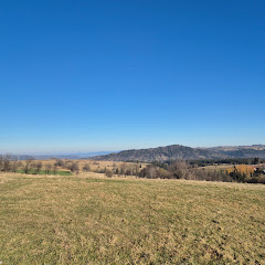 Hodowca ze śląska
