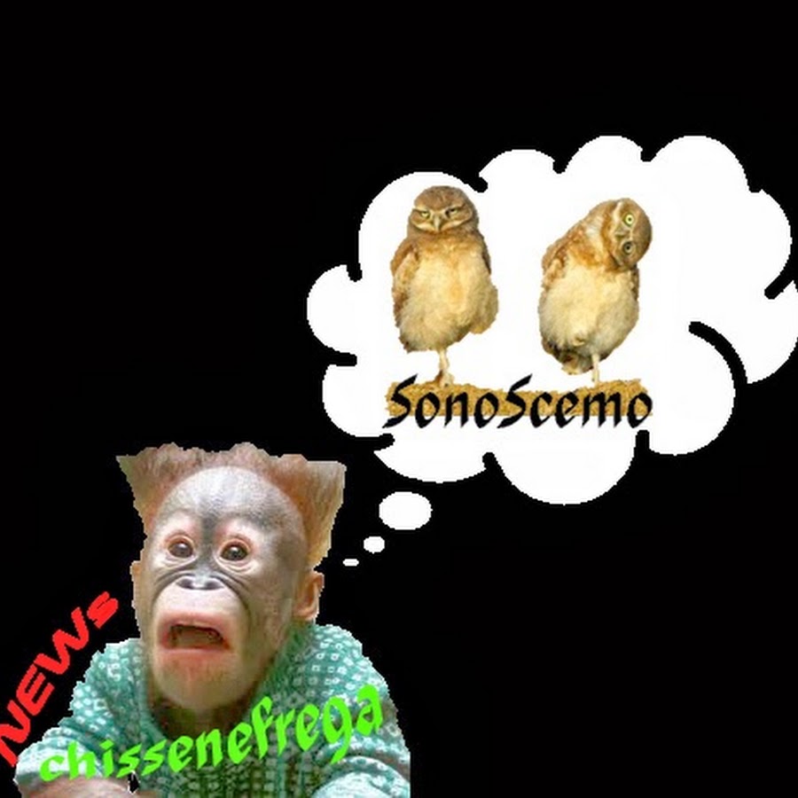 SonoScema رمز قناة اليوتيوب