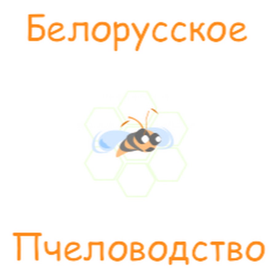 Ð‘ÐµÐ»Ð¾Ñ€ÑƒÑÑÐºÐ¾Ðµ ÐŸÑ‡ÐµÐ»Ð¾Ð²Ð¾Ð´ÑÑ‚Ð²Ð¾ Belarusian Beekeeping YouTube channel avatar