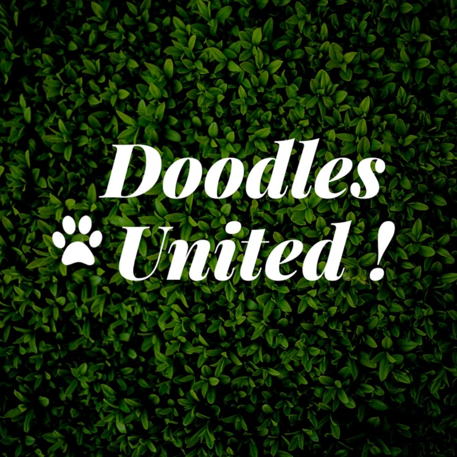 Doodles United YouTube 频道头像