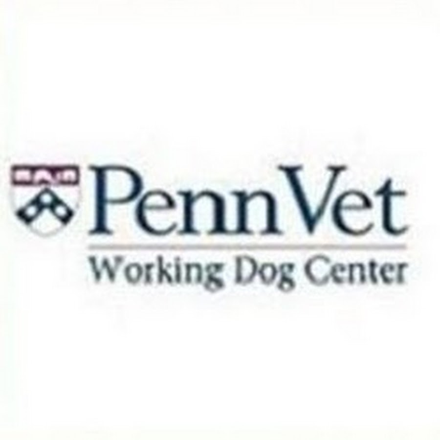 Penn Vet Working Dog