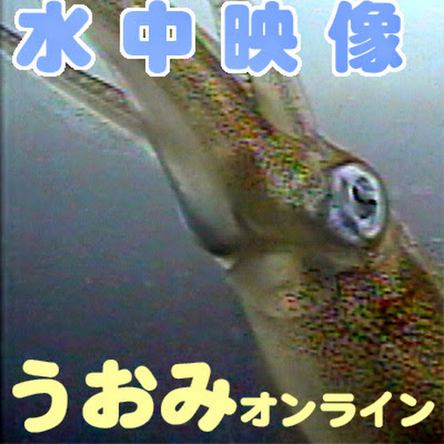 動物園フレンズちゃんねる Zoo Friends Channel Youtube Stats Channel Statistics Analytics