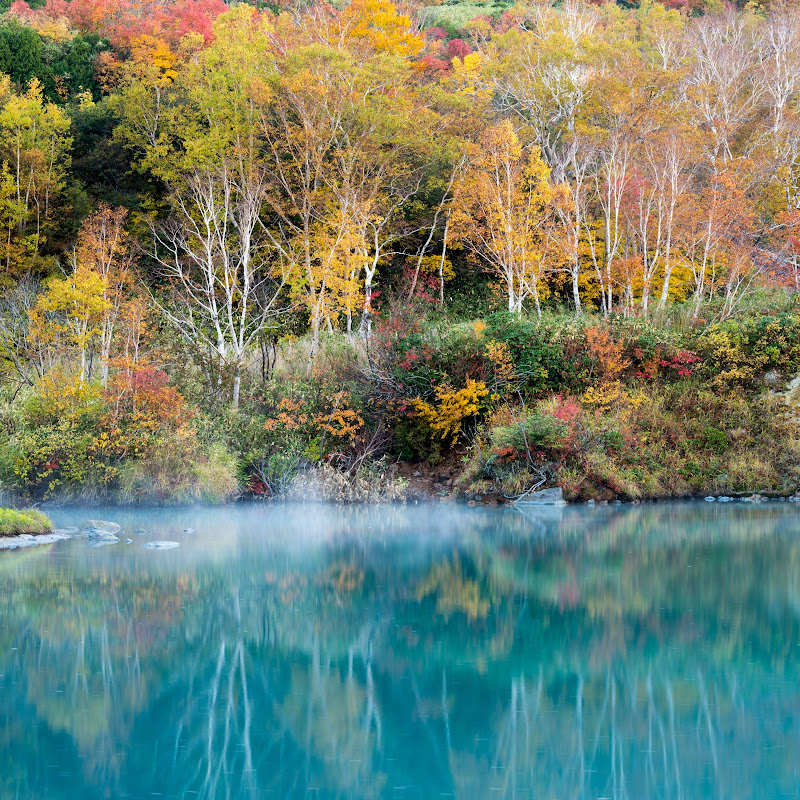 本当にあった感動する話 まとめ Youtubeランキング