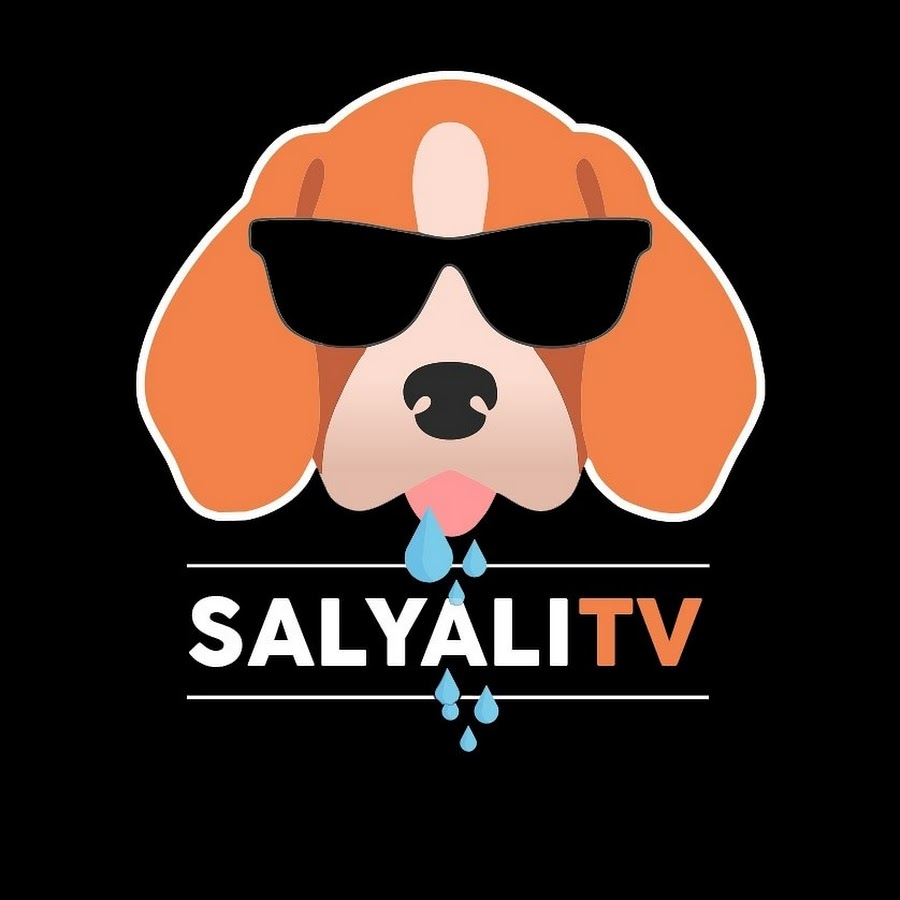 SALYALI TV