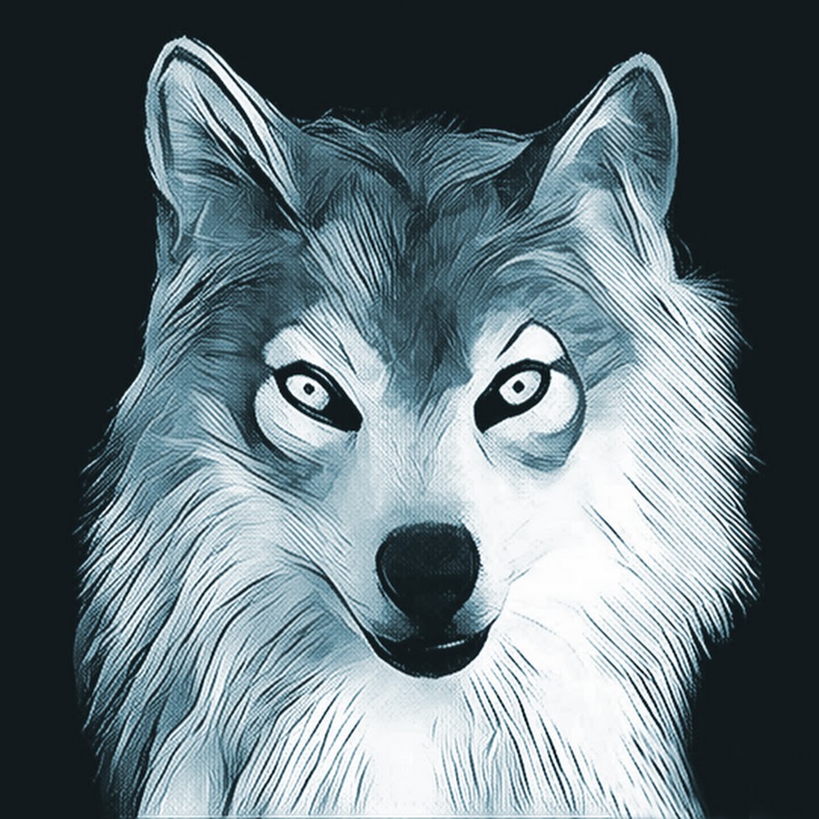 Kiba Wolf YouTube channel avatar