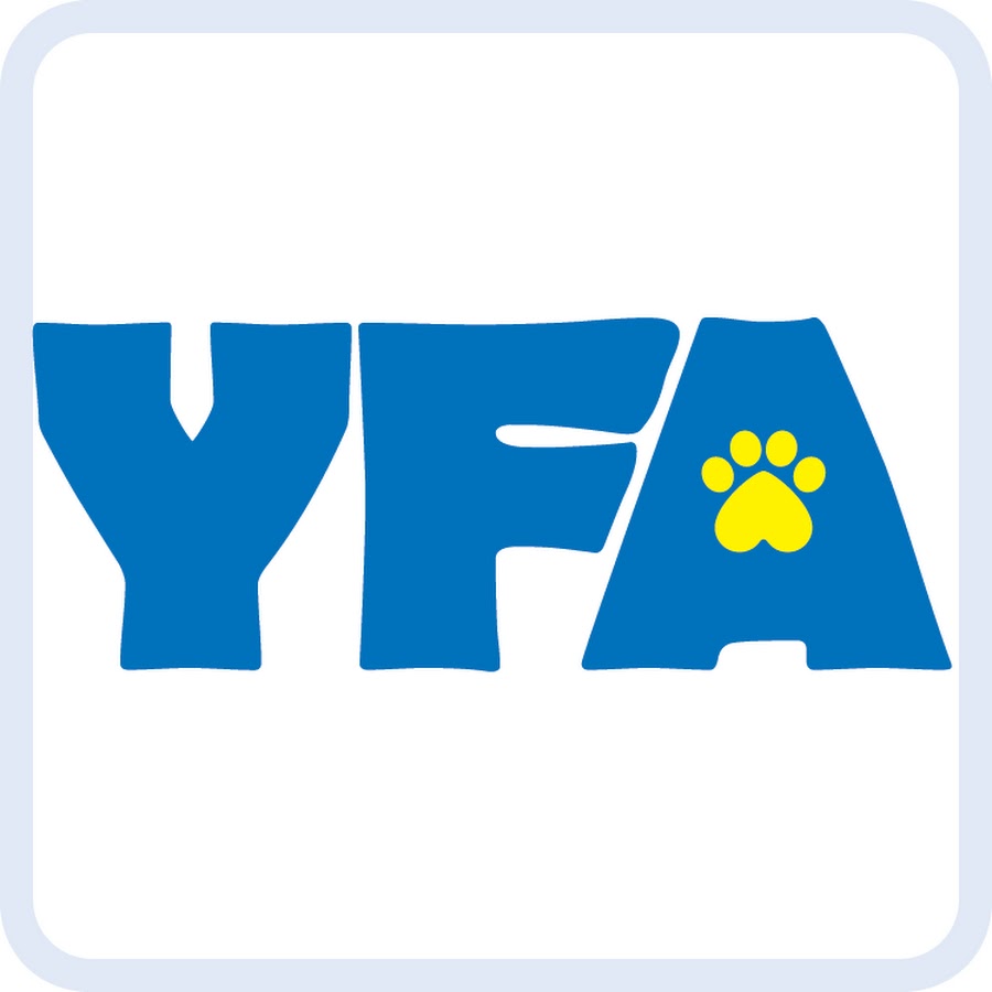 You For Animal YFA Avatar canale YouTube 