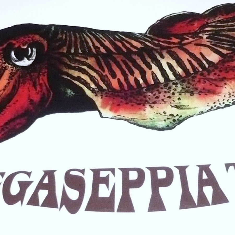 MegaSeppia YouTube channel avatar