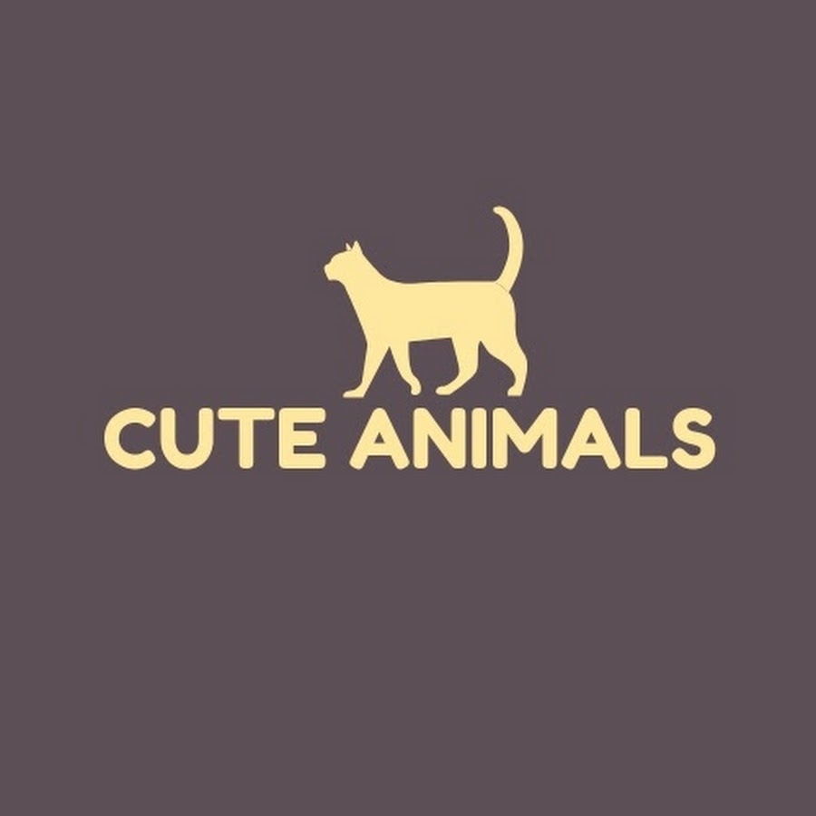 Cute Animals No.1 Аватар канала YouTube