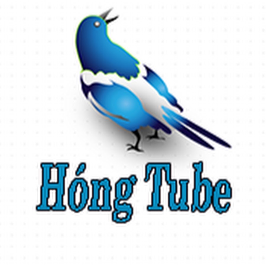 HÃ³ng Tube Avatar channel YouTube 