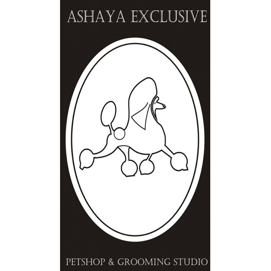 Ashaya Exclusive Awatar kanału YouTube