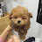 굳굳