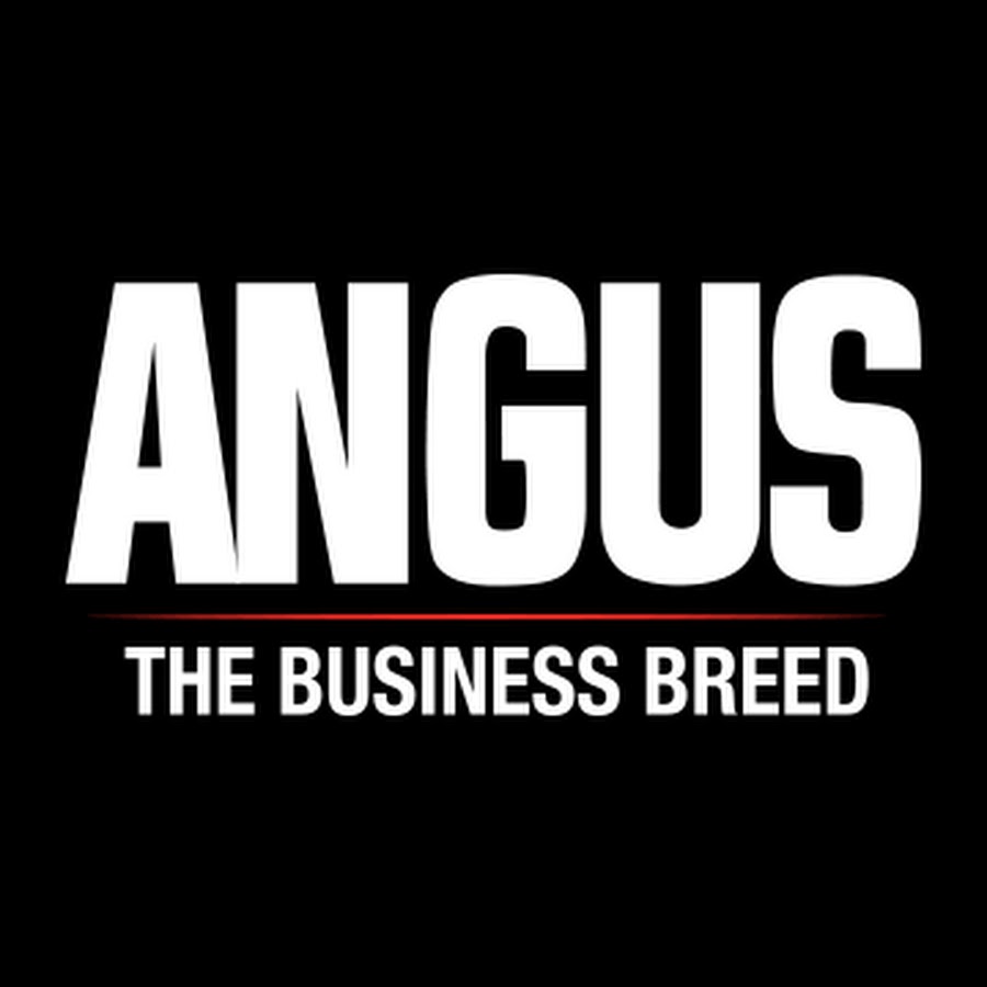 Angus TV Awatar kanału YouTube