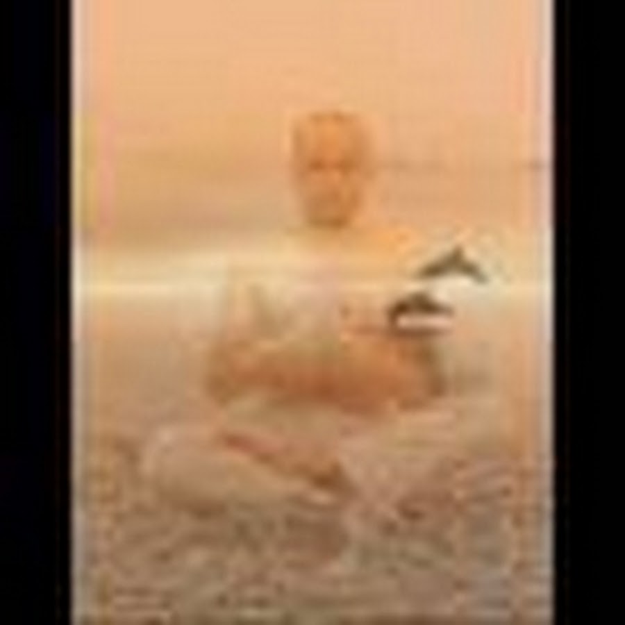 tucaminoalalibertad Avatar del canal de YouTube