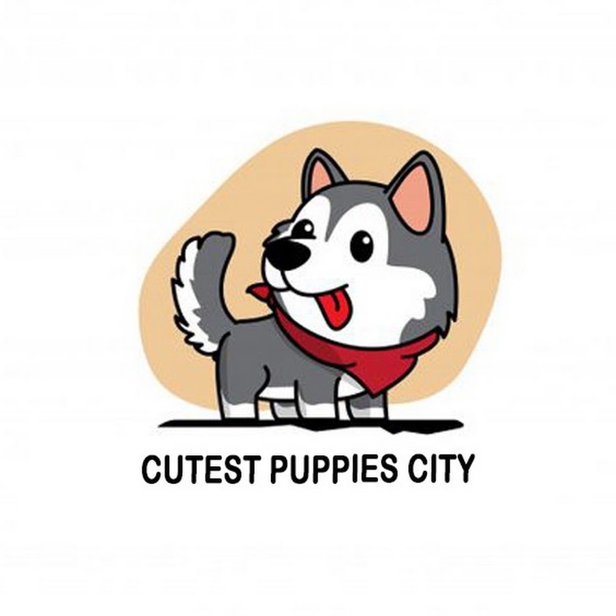 Cutest Puppies City Avatar de canal de YouTube