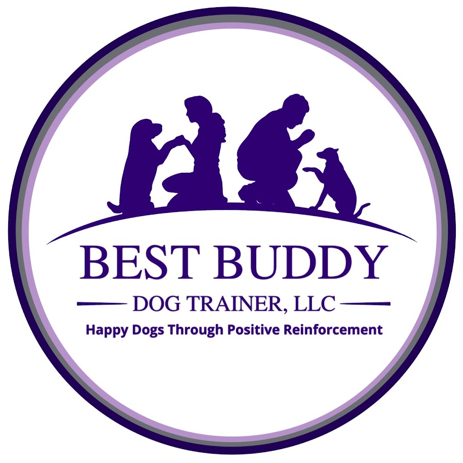 Best Buddy Dog Trainer, LLC YouTube kanalı avatarı