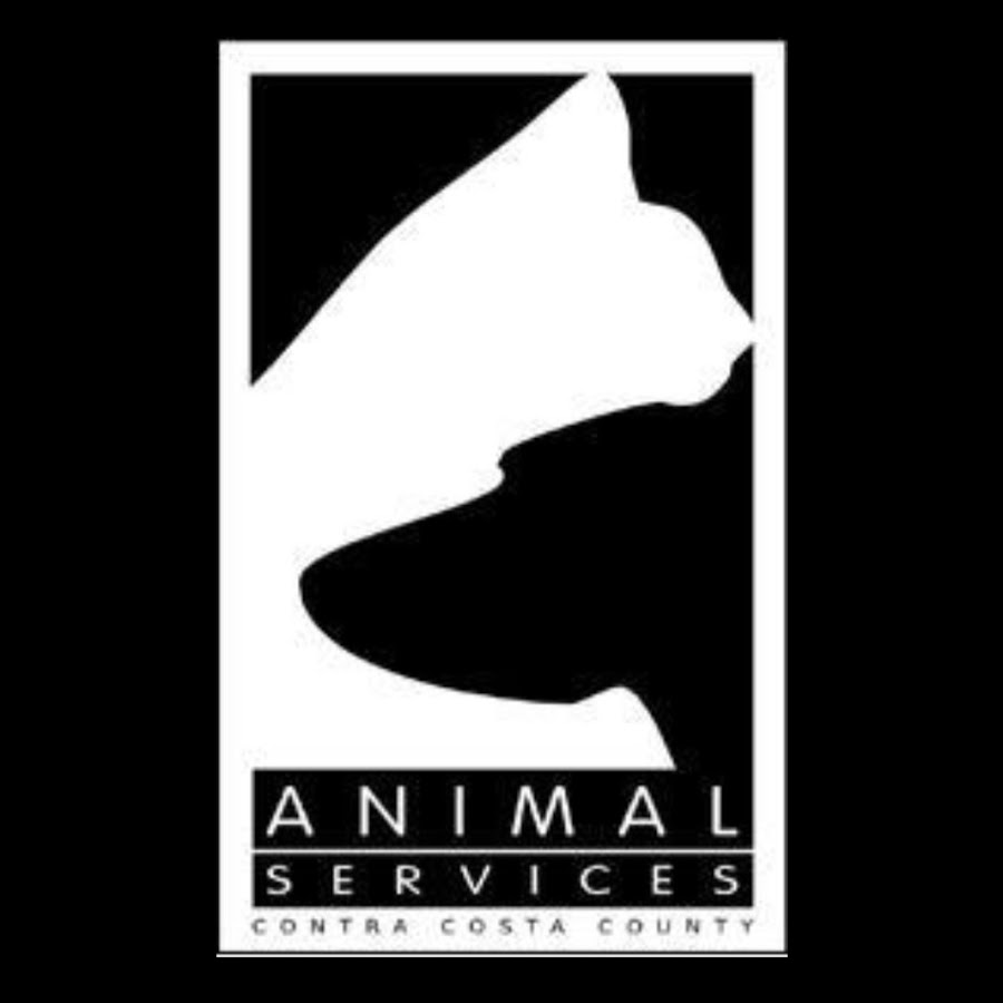 Contra Costa Animal Services ইউটিউব চ্যানেল অ্যাভাটার