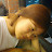 이미경