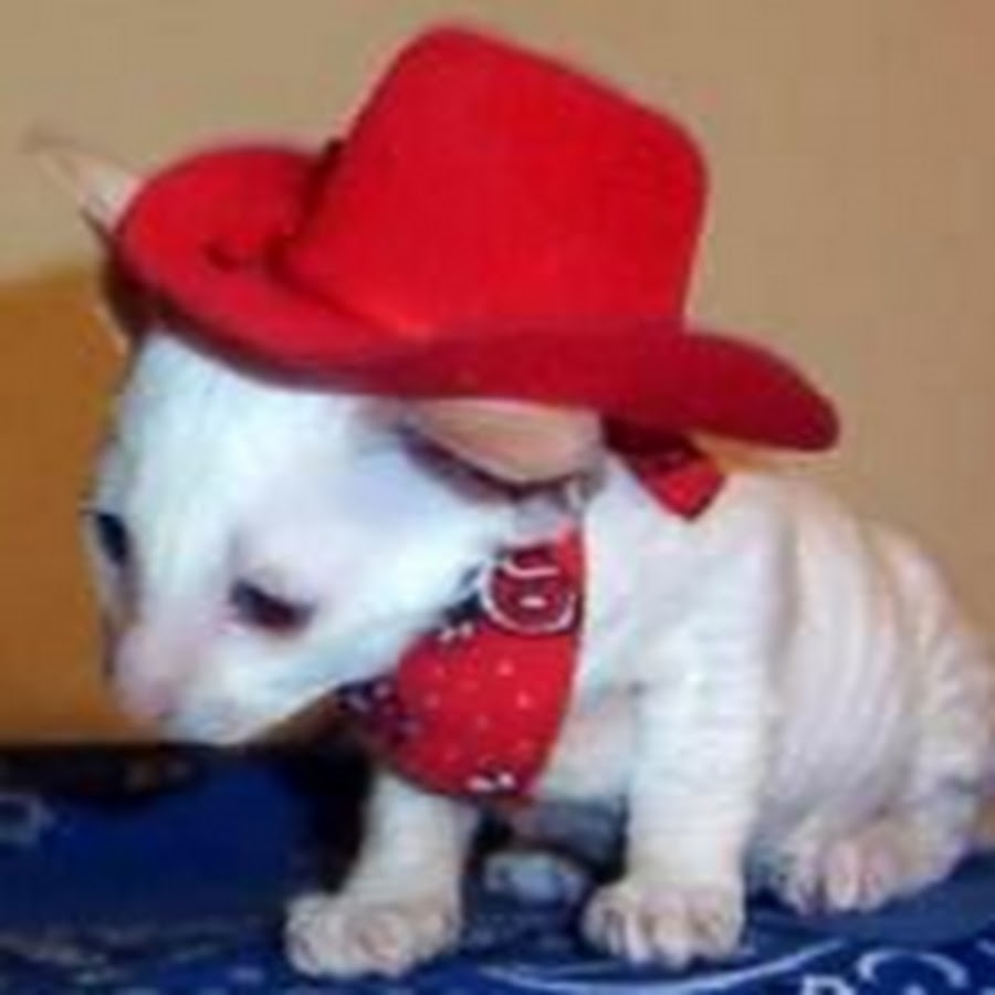 Cowboy Claws YouTube channel avatar