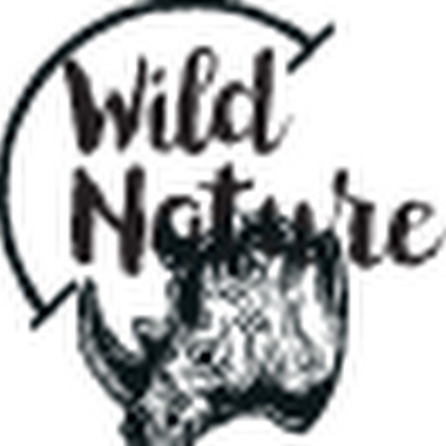 Wild Nature YouTube channel avatar