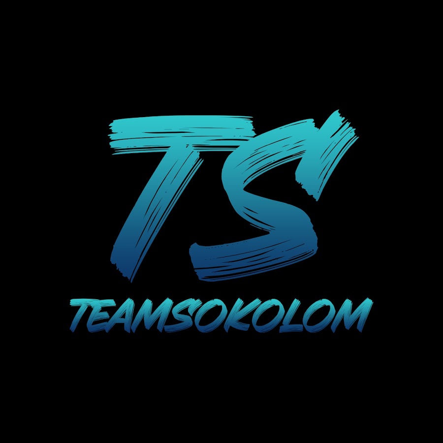 Team Sokolom