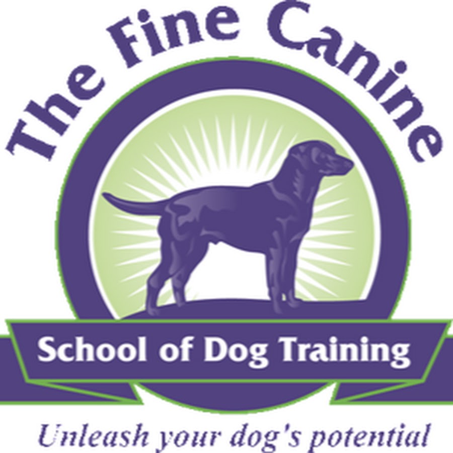 Fine Canine Dog Training Avatar del canal de YouTube