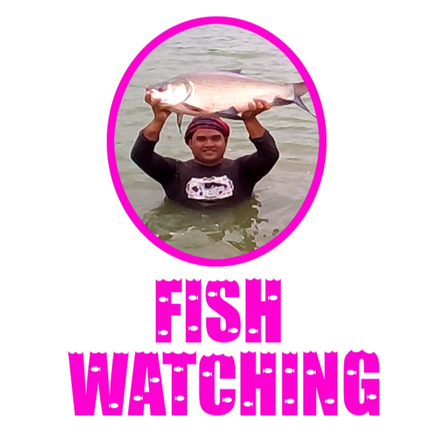 Fish Watching Awatar kanału YouTube
