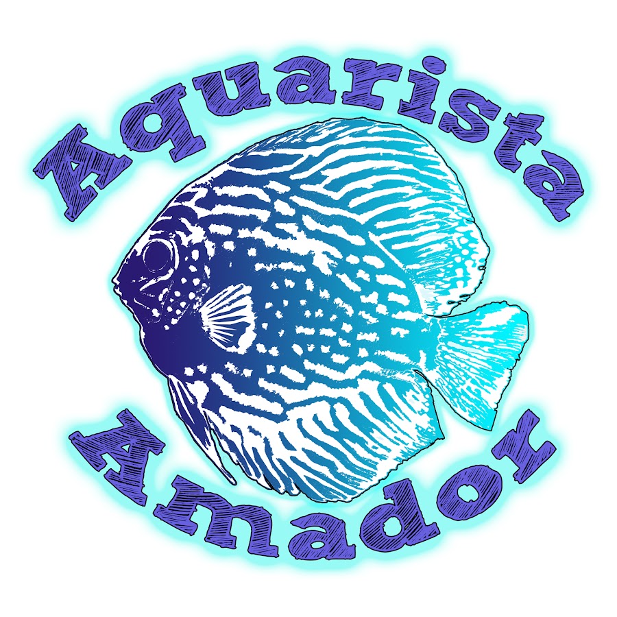 Canal do Aquarista