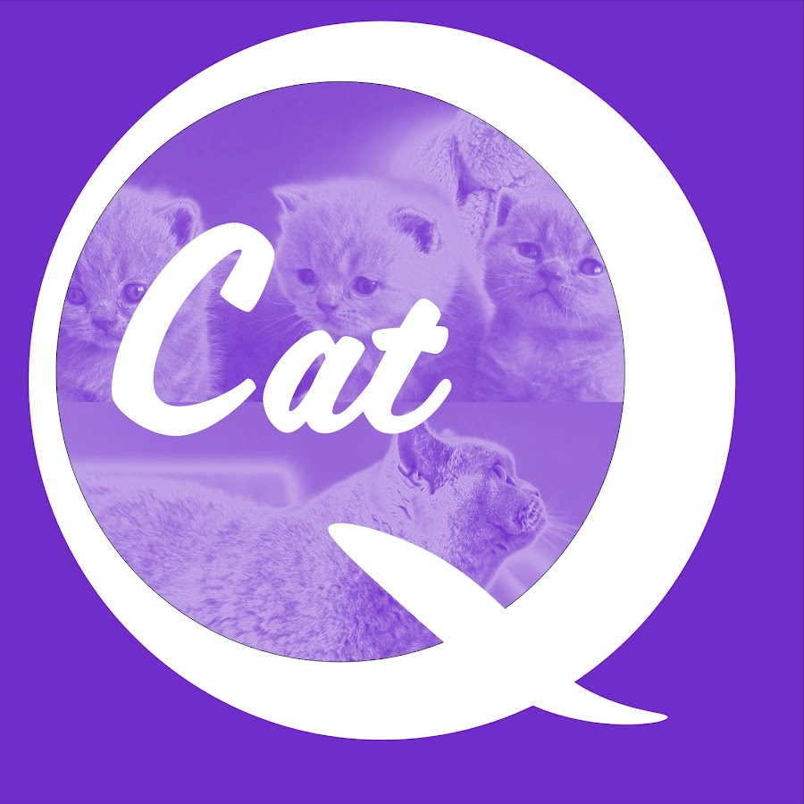 Cat Quintessence YouTube 频道头像