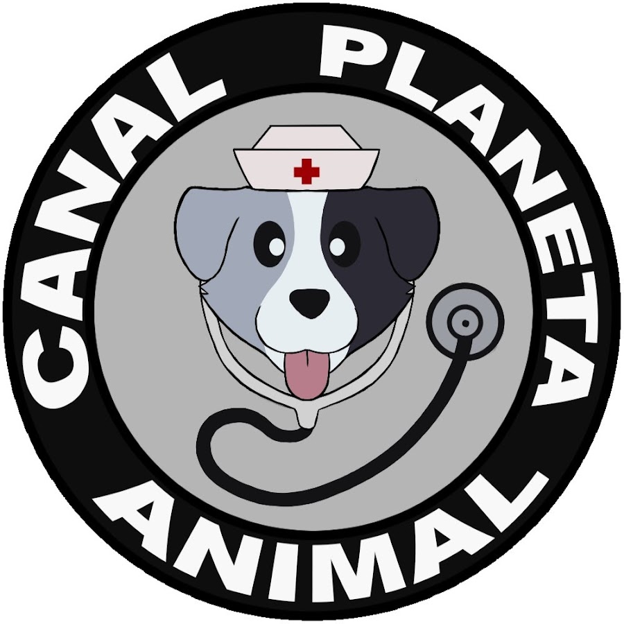 Canal Planeta Animal YouTube channel avatar