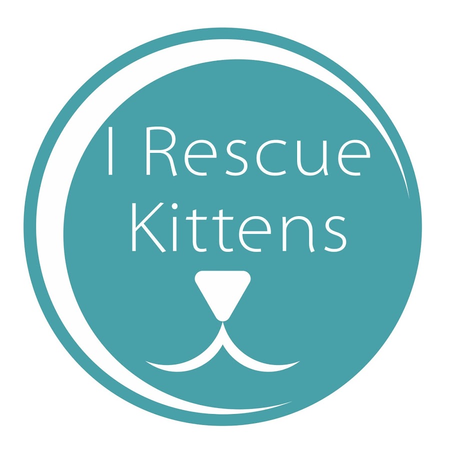 I Rescue Kittens YouTube channel avatar