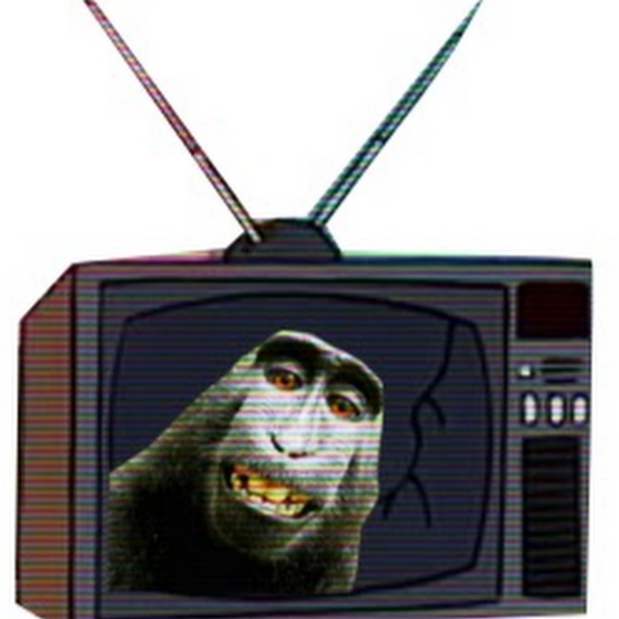 Temple Monkeys Avatar del canal de YouTube