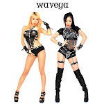 waveya 2011 Net Worth