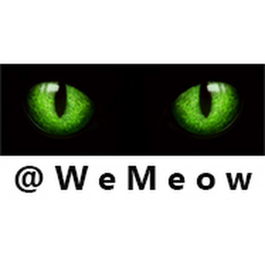 We Meow YouTube channel avatar