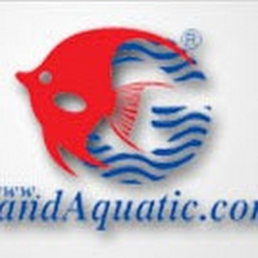 Grandaquatic Aquarium