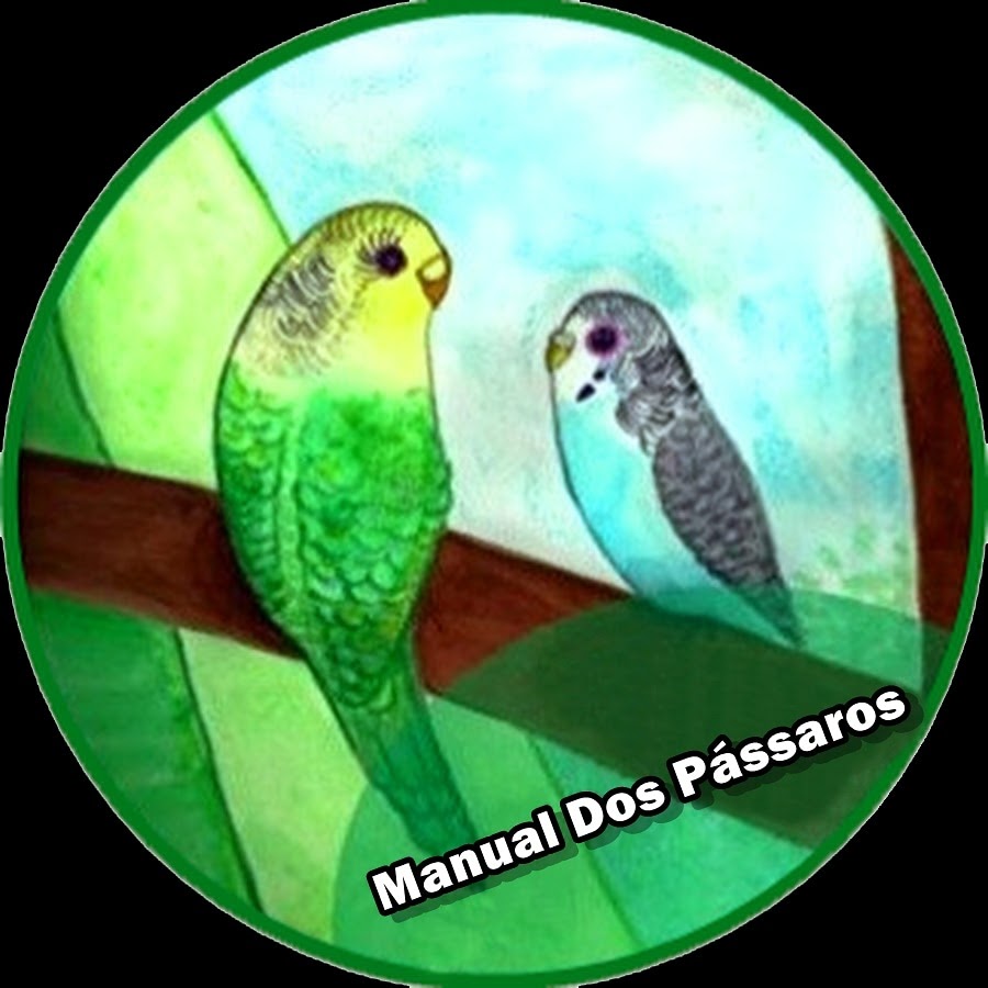 Manual Dos Periquitos YouTube channel avatar