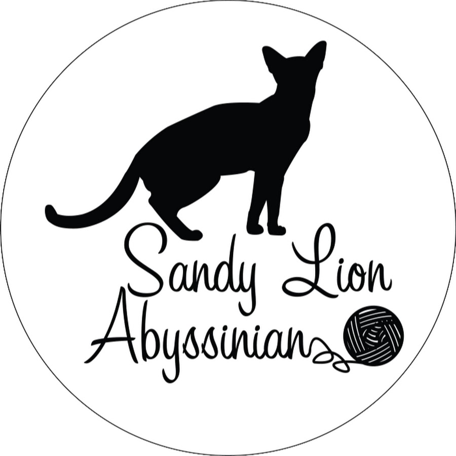 Sandy Lion Abyssinian Cattery Avatar canale YouTube 
