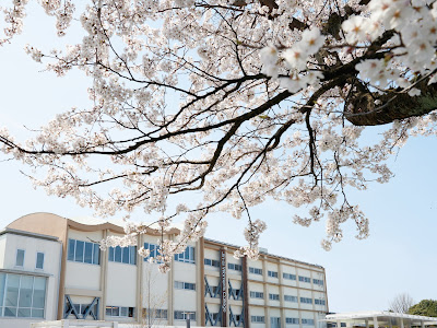 √画像をダウンロード 仁愛 女子 短期 大学 偏差 値 214171